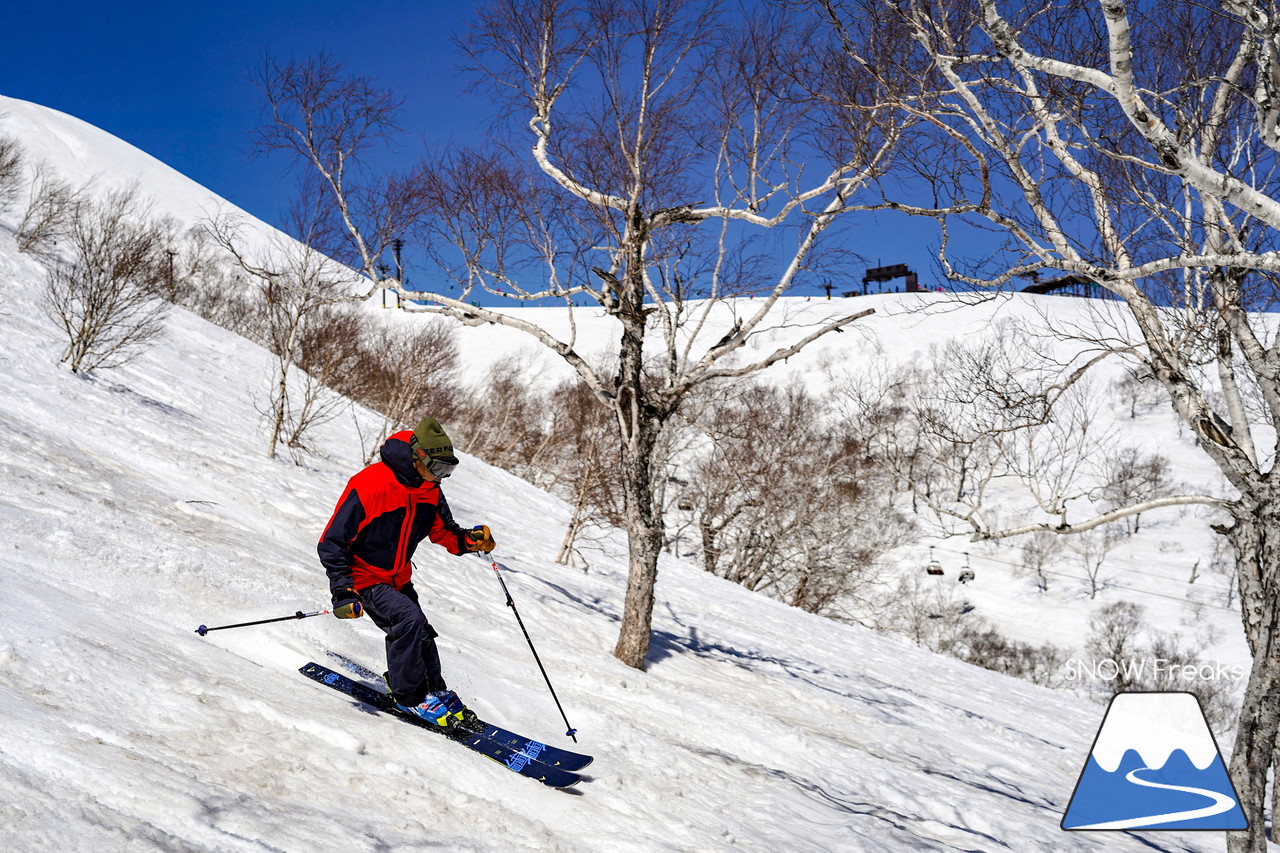 ニセコグラン・ヒラフ DYNASTAR SKI TEST RIDE DAYS Photo Session!!最高の天気に恵まれたニセコに、最高の仲間たちが集まりました☆